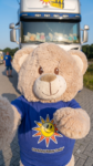 Happy Teddy Selfie in front of a truck